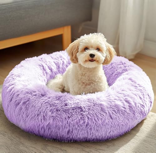 Dog & Cat Bed (20" / Purple)