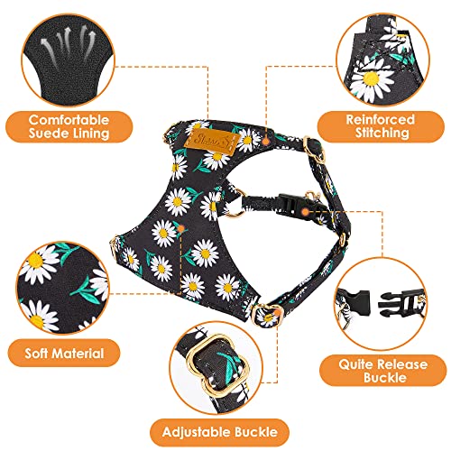 No Pull Dog Harness with Leash for Small Medium Dogs (XX-Small(2.2-6lb) / Black Daisy)