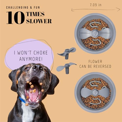 Slow Feeder Dog Bowls for Medium Breed (Petal Feeder Grey / 1.5 Cup - Fit 6.4-6.7'' Feeder Holes)