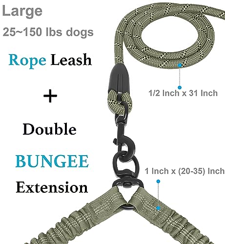 Double Dog Leash (Military Green / Large)