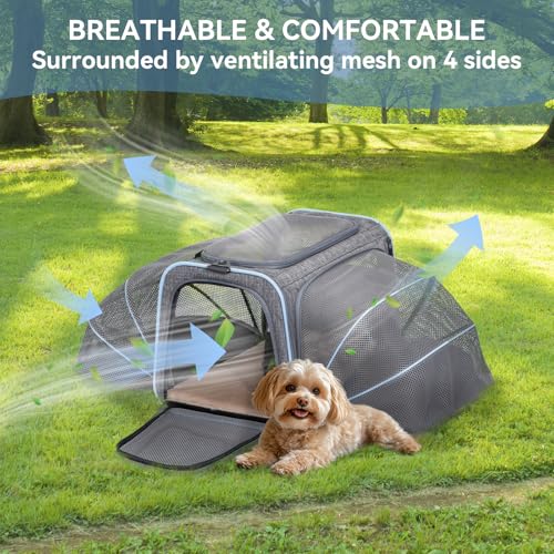 Medium Double Expandable Cat Carrier for Cats and Small Dogs (17.0"L x 11.0"W x 11.0"H / Light Grey)