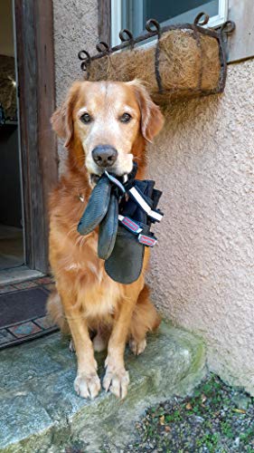 All Weather Neoprene Paw Protector Dog Boots with Reflective Straps in 5 Sizes! (Medium)