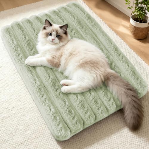Cat Bed Mat for Indoor Cats (Green / Medium 23.6×15.7 inch)