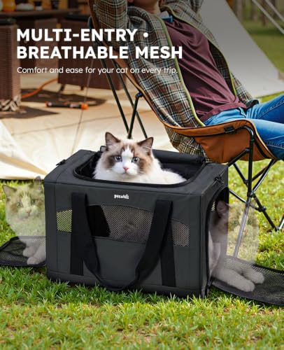 Cat Carrier Stable (Dark Gray / 18.5"L x 12.9"W x 11.8"H)