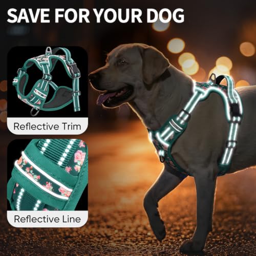 Dog Harness Reflective (S / Flower Grass Green)