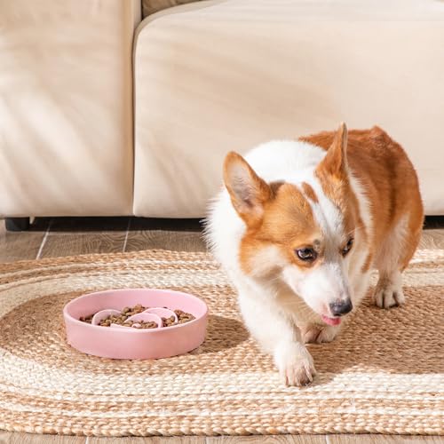 Ceramic Slow Feeder Dog Bowl (M - 1.5 Cups / Pink)