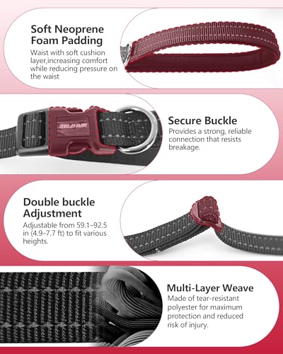 3-in-1 Double Dog Leash, Hands-Free Convertible Leash for 1 or 2 Dogs (Black)