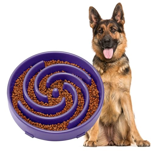 Slow Feeder Bowl for Large Dogs (Large / N-Taro purple)