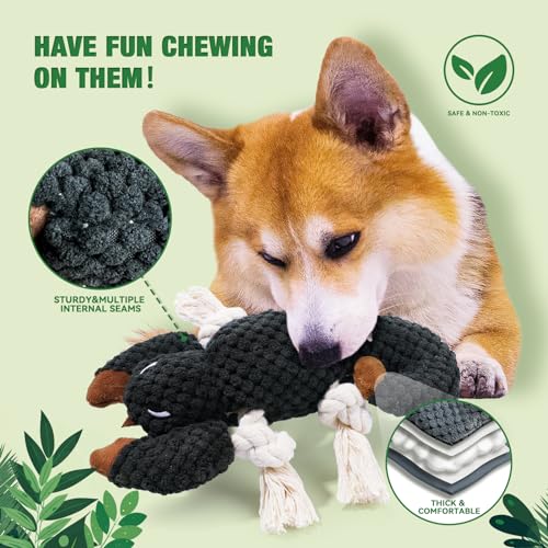 Dog Squeaky Toys for Puppy (5 Pack)