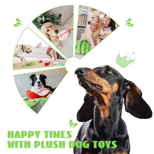 Hide and Seek Plush Dog Toys (watermelon)