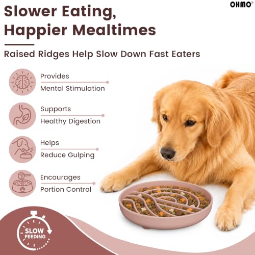 Slow Feeder Dog Bowl (Coral)