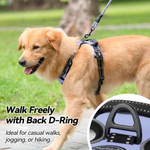 No Pull Dog Harness Small with Front Clip & Neck Release Buckle (S / Light Blue)