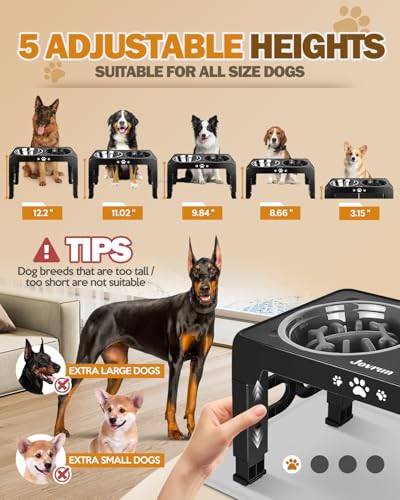 Elevated Dog Bowls for Medium Large Dogs with Mat (for Medium Large Dogs 1 Basic&1Slow Bowl with Mat / Black)