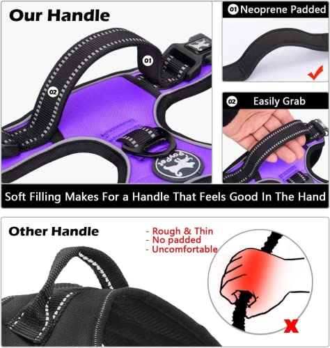No Pull Dog Harness Large with Front Clip & Neck Release Buckle (XL / Purple)