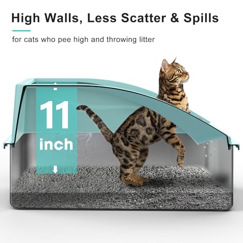 Stainless Steel Litter Box (Turquoise / X-Large)
