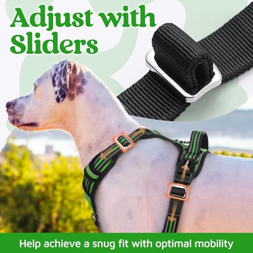 Dog Harness Medium Sized (Green / Medium)