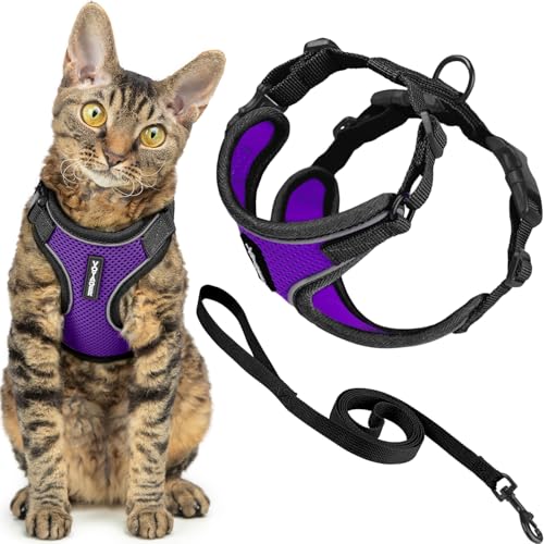 Voyager Escape (Black Trim-Purple (327) / XXS (Chest: 11.5 - 14"))
