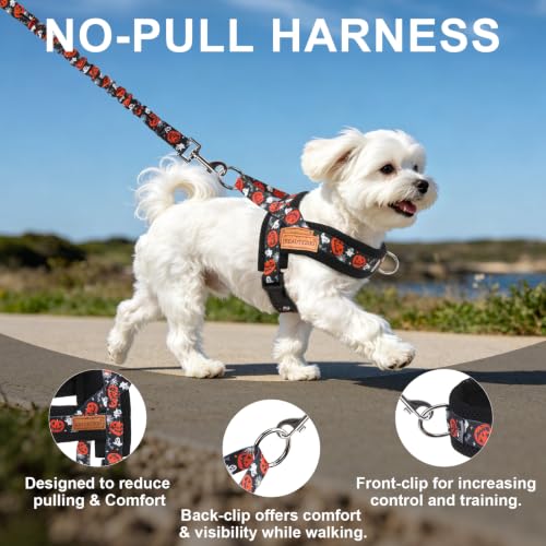 Small Dog Harness and Leash Set (Halloween Pumpkin / S: Chest 17.5"-22")