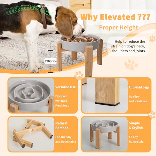 Elevated Slow Feeder Dog Bowl (Grey / 3.2 Cup（New） with Stand)