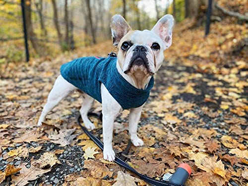 Zip Up Fleece Dog Sweater (Small chest (~13.5") / Turquoise Wash)