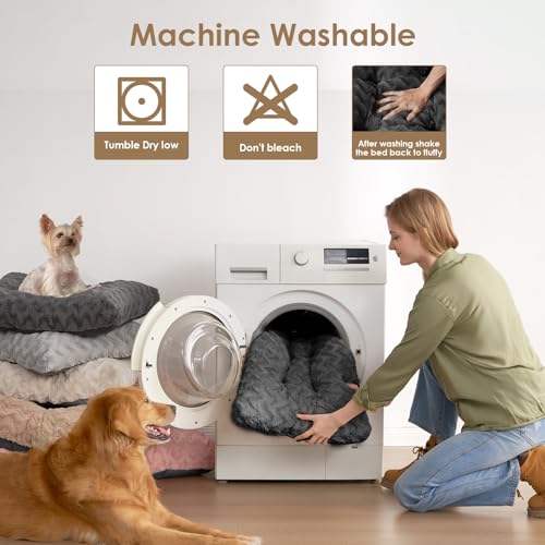 Washable XL Dog Beds Large Sized Dog (Charcoal / 44" x 32" x 4")