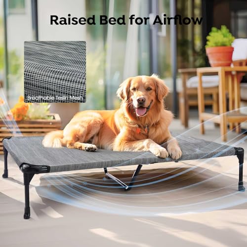 Outdoor Elevated Dog Bed with Waterproof Bolster Cushion (Black Silver / 49.0"L x 33.0"W x 9.0"Th)