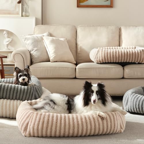 Dog Beds for Small Dogs Cats (Beige / S(20"Lx19"Wx6"Th))