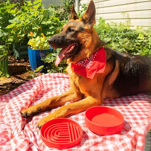 Slow Feeder Dog Bowl (Cherry - Rainbow Design / Medium (7.5” Across x 1.5” Tall))