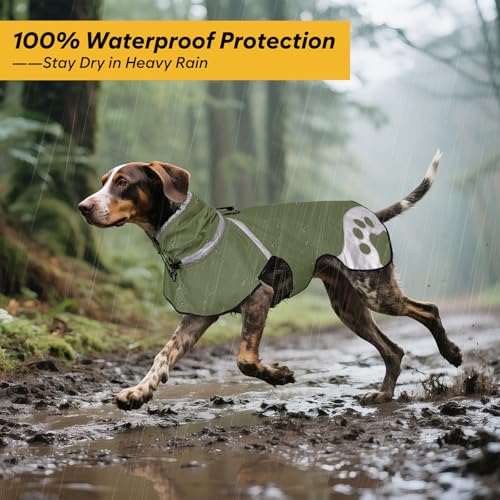 Dog Raincoat for Small Dogs (Green / Small)