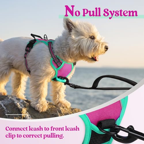 Dog Harness No Pull for Small Dogs with 2 Leash Clips (X-Small / Hot Pink & Turquoise)