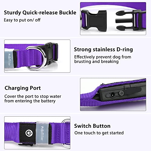 Light up Dog Collar (Purple / M(15 inch-19.7 inch))