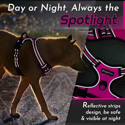 Dog Harness for Small Dogs (Small / Rose Red)