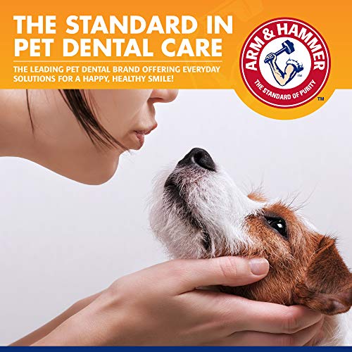 Tartar Control Dog Dental Kit (2.5 Ounce (Pack of 1))