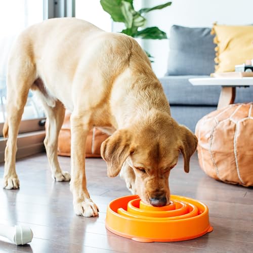 Fun Feeder Slo Bowl (Orange / Large)