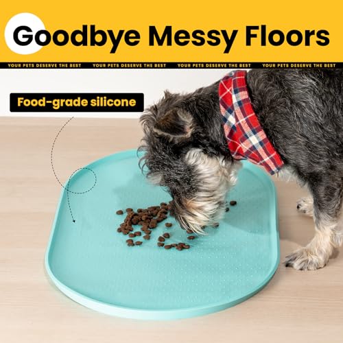 Silicone Dog Food Mat (19"L x 12"W / Turquoise)
