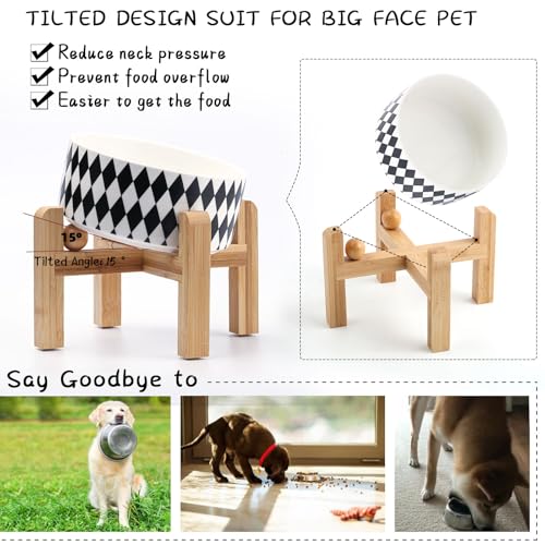 Raised Elevated 15°Slanted Ceramic Dog Bowl for Small Breeds (Black Rhombus / 1.7 CUPS - Puppy/Small Dogs & Cat Bowls)