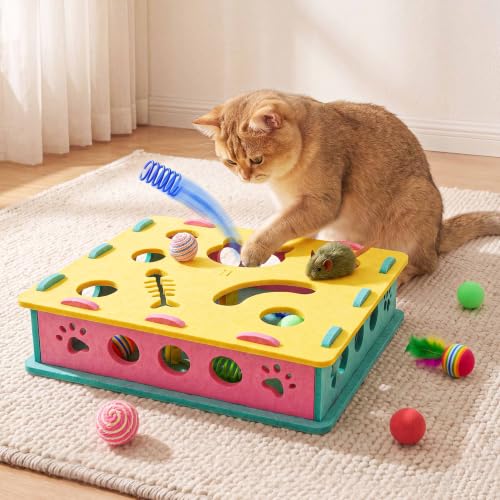 21 Pcs Interactive Cat Toys for Indoor Cats (Modern (only puzzle box))