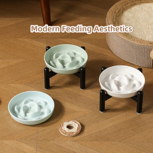 Elevated Slow Feeder Cat Bowl (Blue + Metal Stand / 9"H)