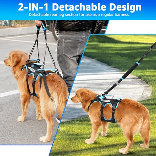 Dog Lift Harness for Large Male Dogs (Large / Black)
