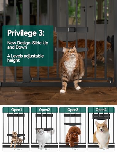 Baby Gate with Cat Door (Black / 29-40" Wide, 30" Tall)