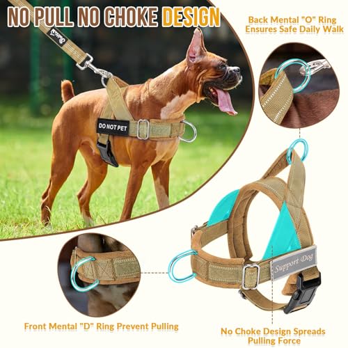 No Pull Dog Harness and Leash Set (Tan / Large)