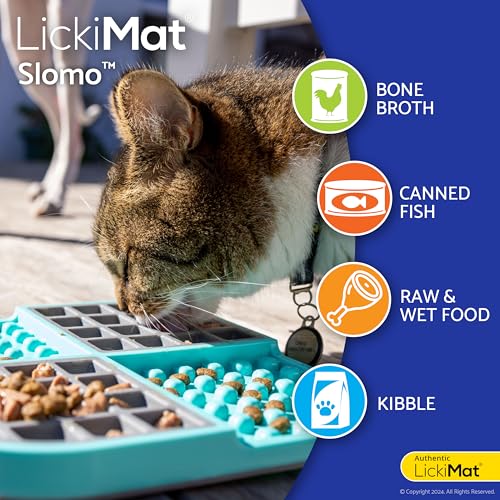 Slomo Cat Slow Feeder Lick Mat (Purple)