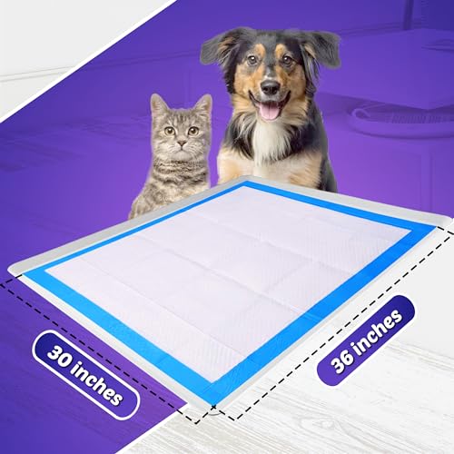 Dog Pee Pad Holder (1 Pack / White)