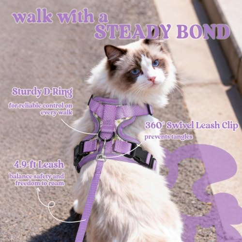 Cat Harness and Leash Set (Xs / Purr-ple Daisy)