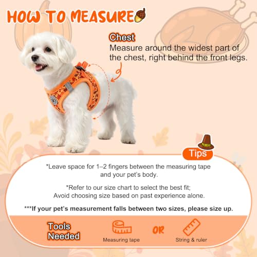 Small Dog Harness and Leash Set (Small(Chest Girth 14.5" - 16") / Autumn)