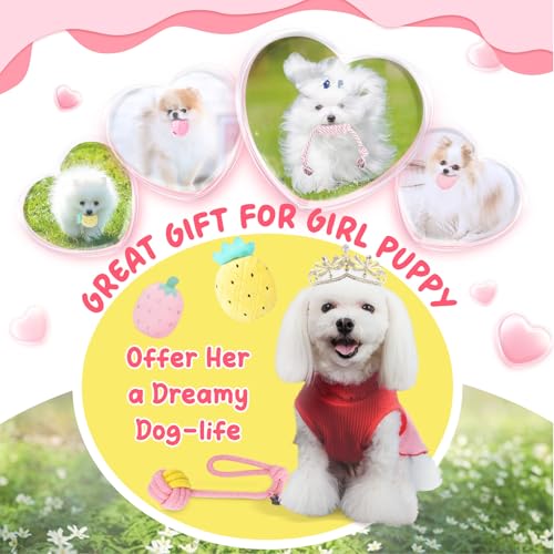 Pink Puppy Toys for Boredom (Pink-Grey)