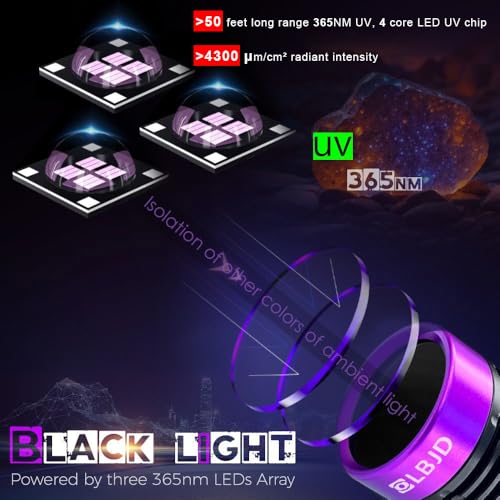 UV Black Light 365 nm Rechargeable Flashlight with Filter for Pet Urine (Black and Purple)