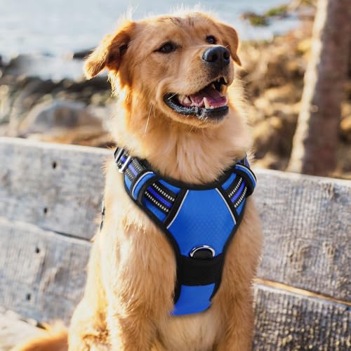 Dog Harness for Large (Royal Blue / X-Large)