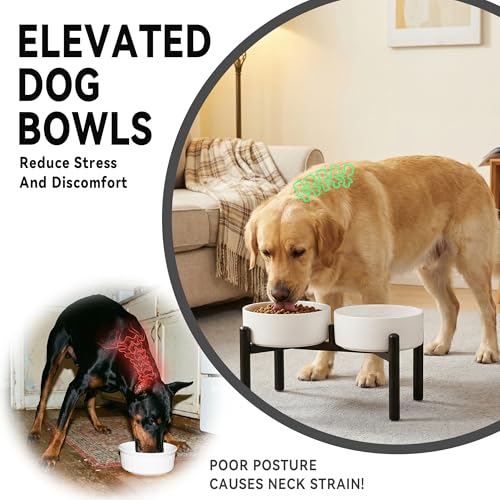 Raised Ceramic Dog Bowl Set with Stand (Green / 2 Bowls - 7.5 Cups Each)