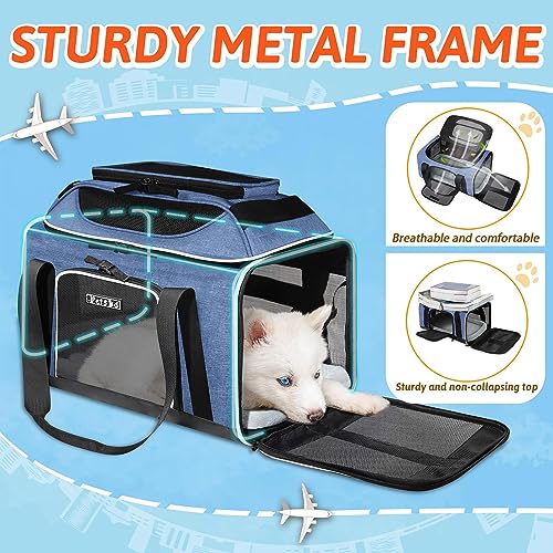 Top Expandable Small Pet Carrier 17"x12"x8.5" Airline Approved (17.0"L x 12.0"W x 8.5"H / Blue)